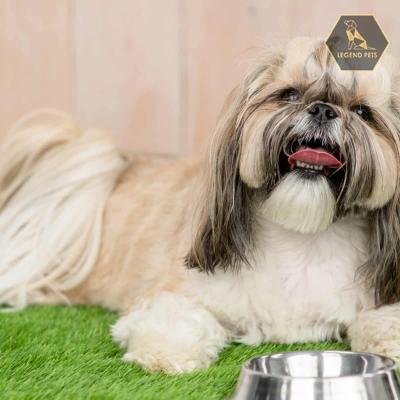 Cava-Tzu